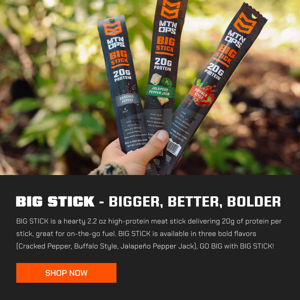 WebCompression_Proportional-09-23-25-BIG-STICK-Launch-LP-Feature-1.png